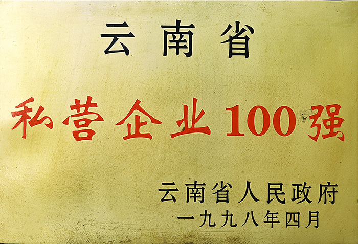 云南省私营企业100强